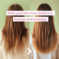 thumbnail image 3 of Just Nutritive Onion & Rosemary Conditioner for Hair Growth, Hair Loss, Oil Control, Thickening, Silicone-Free, Enriched with Red Onion Oil, Rosemary Oil for Fuller, Voluminous Hair - 16 Fl Oz, 3 of 5