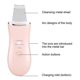 thumbnail image 4 of Ultrasonic Skin Scrubber Face Cleaning Vibration Massage Home Beauty MachinePink, 4 of 5