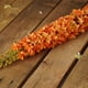 Select Artificials 48" Tige Florale Décorative Foxtail Artificielle Orange et Vert – image 3 sur 3