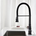 thumbnail image 1 of CRO Decor Pull Down Sprayer Kitchen Sink Faucet Swivel Head Design in Black, 1 of 9