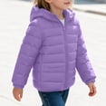 thumbnail image 3 of Kids Hooded Puffer Jackets Full Zip Lightweight Quilted Winter Coats for Boys Girls 4-14Y Solid Warm Outerwear (6T, Purple), 3 of 8