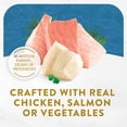 thumbnail image 3 of Purina Fancy Feast Broths Classic Chicken & Salmon Collection 6C Variety pack, Cat Treats, 40g x 6, 3 of 9