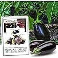 Black Beauty Eggplant Seeds for Planting, 100  Heirloom Seeds Per Packet, Non GMO Seeds, Botanical Name: Solanum melongena