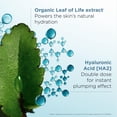 thumbnail image 4 of Mascarilla facial Clarins Hydra-Essentiel 75ml 24H Hydration, 4 of 6
