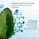thumbnail image 4 of Mascarilla facial Clarins Hydra-Essentiel 75ml 24H Hydration, 4 of 6