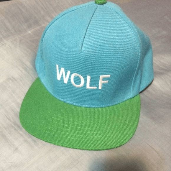 2023 Arrival Tyler The Creator Wolf Mens Womens Hat Cap