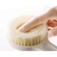 thumbnail image 3 of Cepillo corporal BRI de cerdas suaves con mango largo para exfoliación, 3 of 4