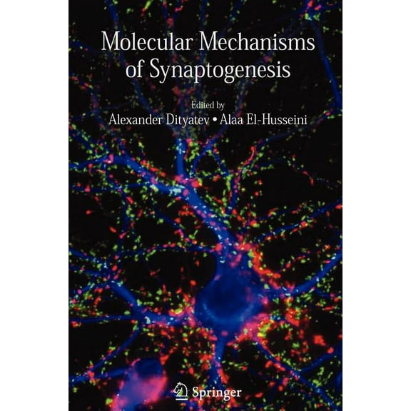 Molecular Mechanisms of Synaptogenesis, (Paperback)
