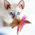 thumbnail image 2 of LEORX Creative Cat Teaser With Collar Interactive Kitten Wand Design For And Relief For Cats And Kittens, 2 of 8