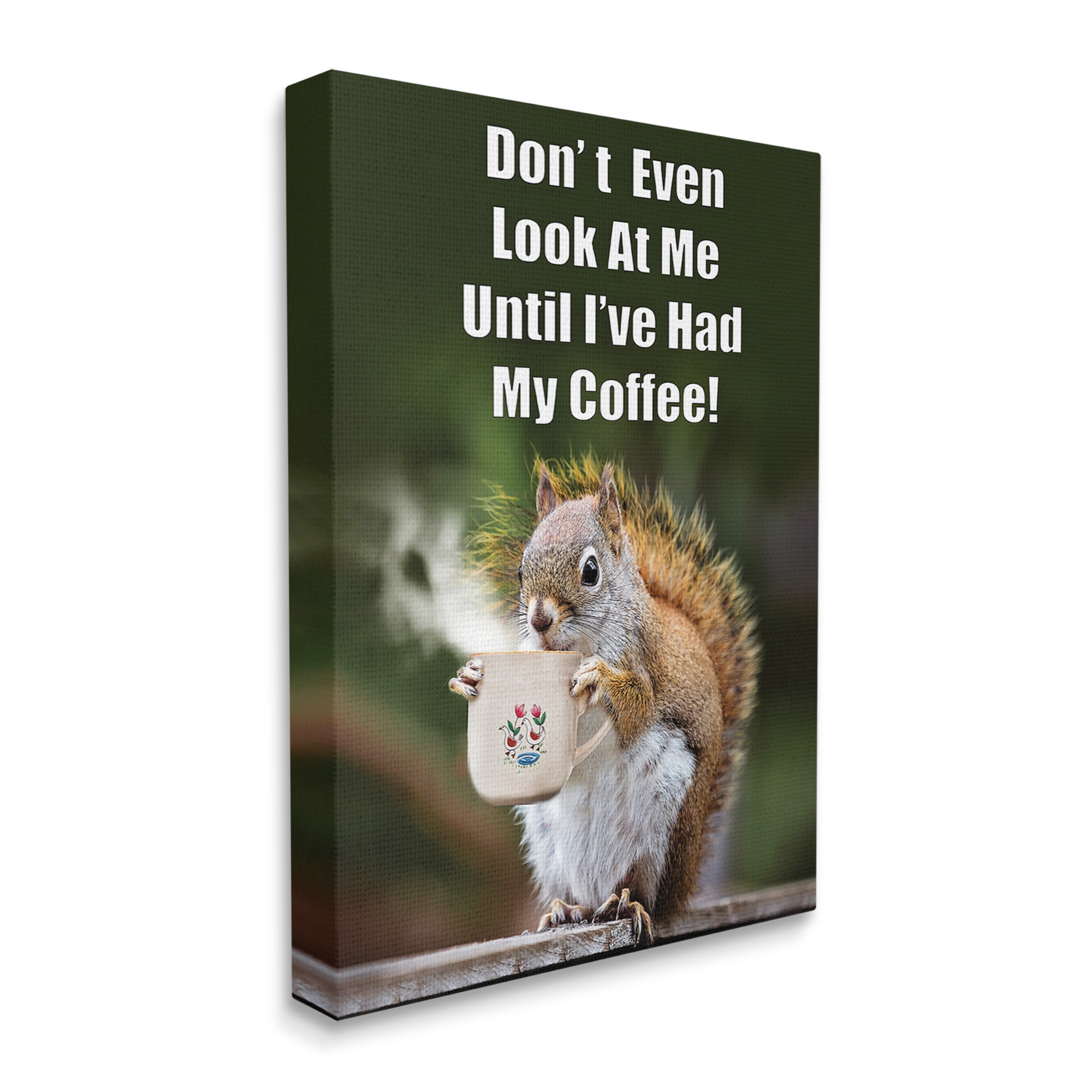 Stupell Industries Funny Squirrel Coffee Phrase Animals & Insects Painting Gallery Wrapped Canvas Print Wall Art, 30 x 40