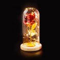 thumbnail image 1 of Glass Cover Internal Rose DIY Decoration Lamp Romantic LED Small Night Light Valentine's Day Gift, 1 of 1