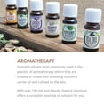 thumbnail image 4 of Healing Solutions 10ml Oils - Lavender Essential Oil - 0.33 Fluid Ounces, 4 of 5