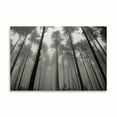 thumbnail image 2 of Gango Home Decor Redwoods II by Brian Moore (Printed on Paper); One 36x24in Fine Art Paper Giclee Print, 2 of 4