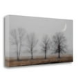 thumbnail image 2 of Early December By Heather Jacks, Fine Art Giclee Print on Gallery Wrap Canvas, Ready to Hang, 2 of 2