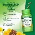 thumbnail image 5 of Dandelion Root Capsules | 1800mg | 100 Count | Non-GMO & Gluten Free Extract | by Nature's Truth, 5 of 7