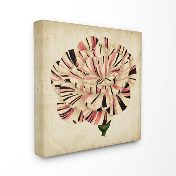 The Stupell Home Decor Striking Striped Tulip Bloom Aged Painting Canvas Wall Art