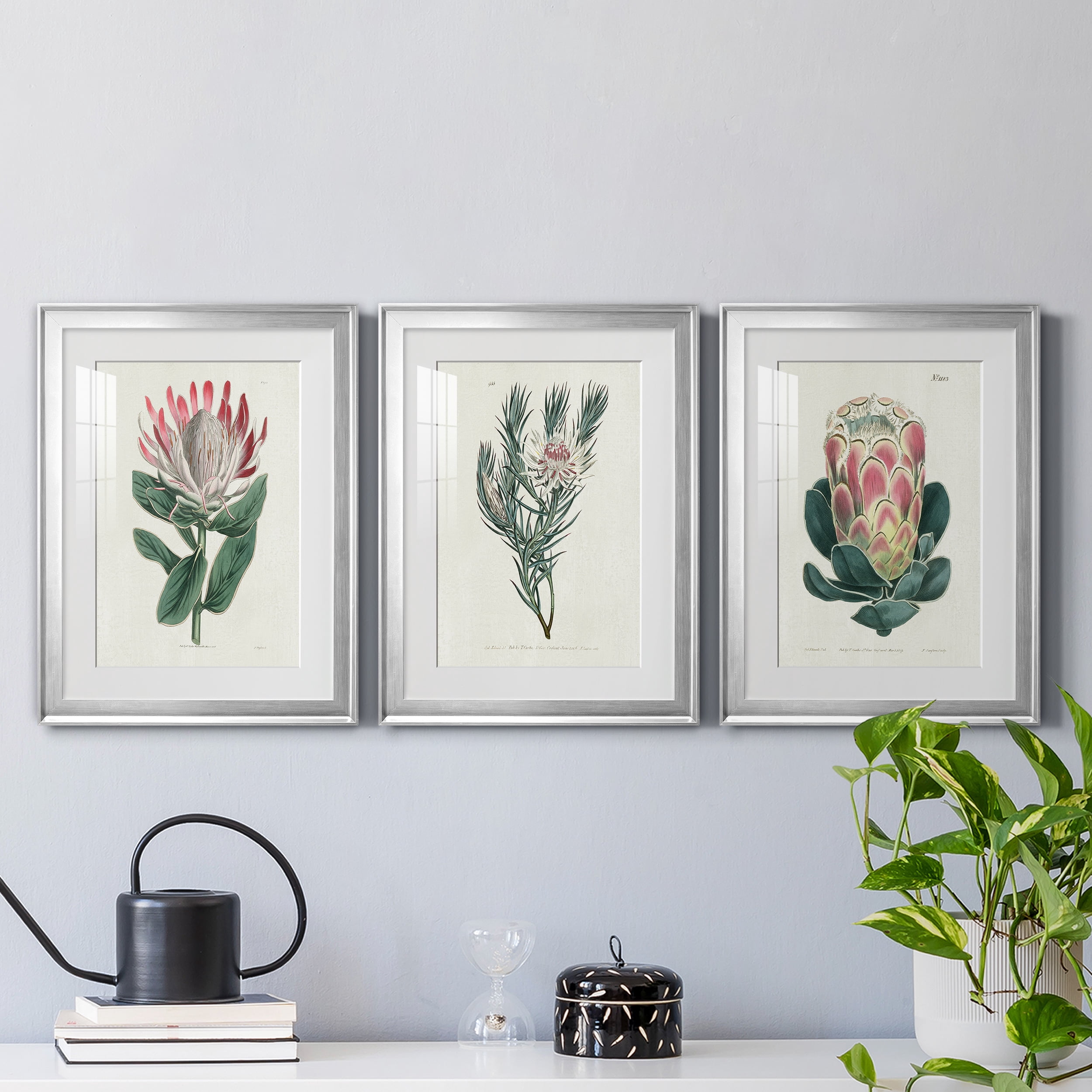 Protea N13 Premium Framed Prints Set of 3 - Ready to Hang - 18 x 24 Each - Silver Frame