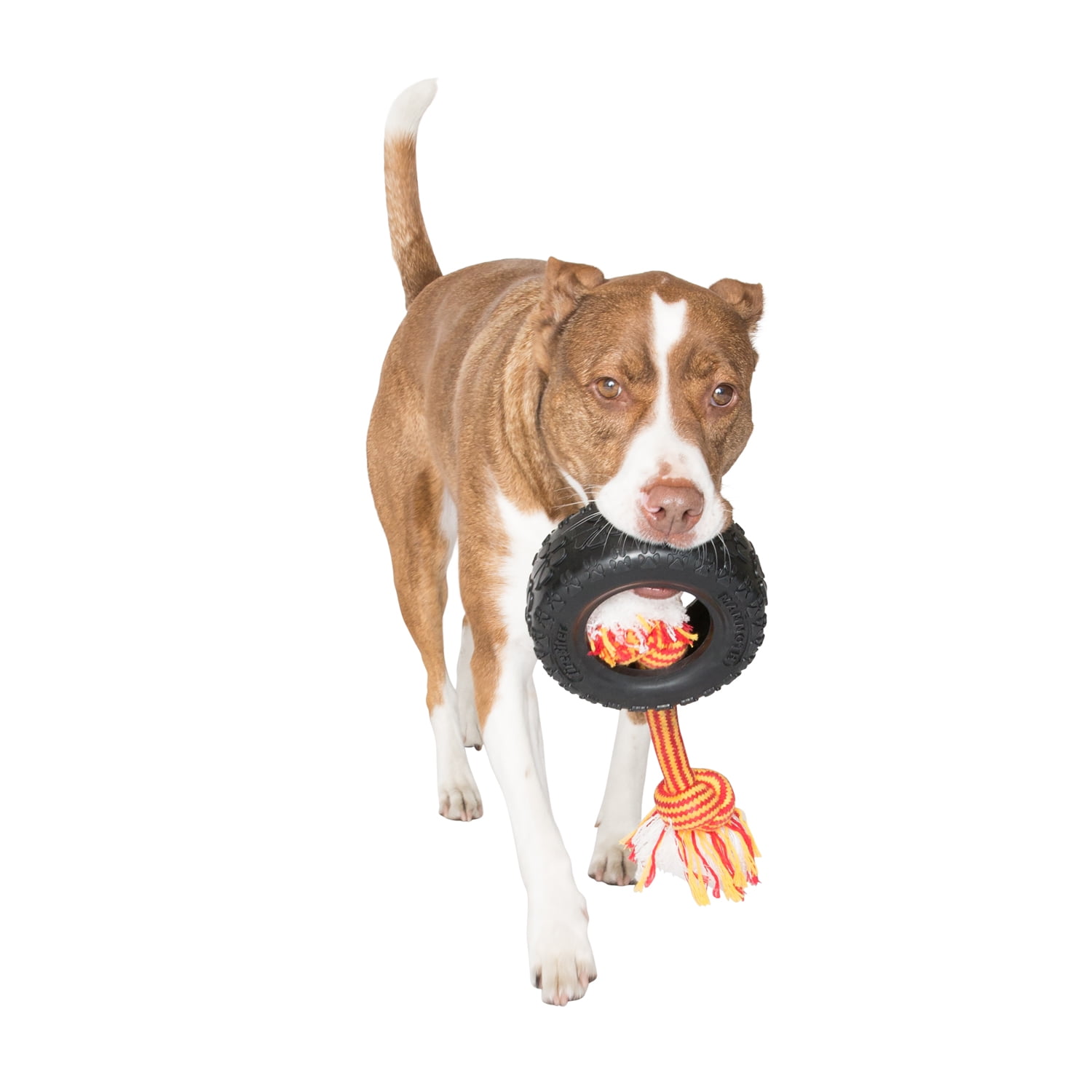 Mammoth TireBiter Advanced Rubber Dog Toy with Cottonblend Assorted Color Rope, Large, 6"