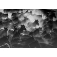 thumbnail image 2 of Nisan Kandilcioglu, Ummu 24x18 Black Ornate Wood Framed with Double Matting Museum Art Print Titled - Horses 2, 2 of 4