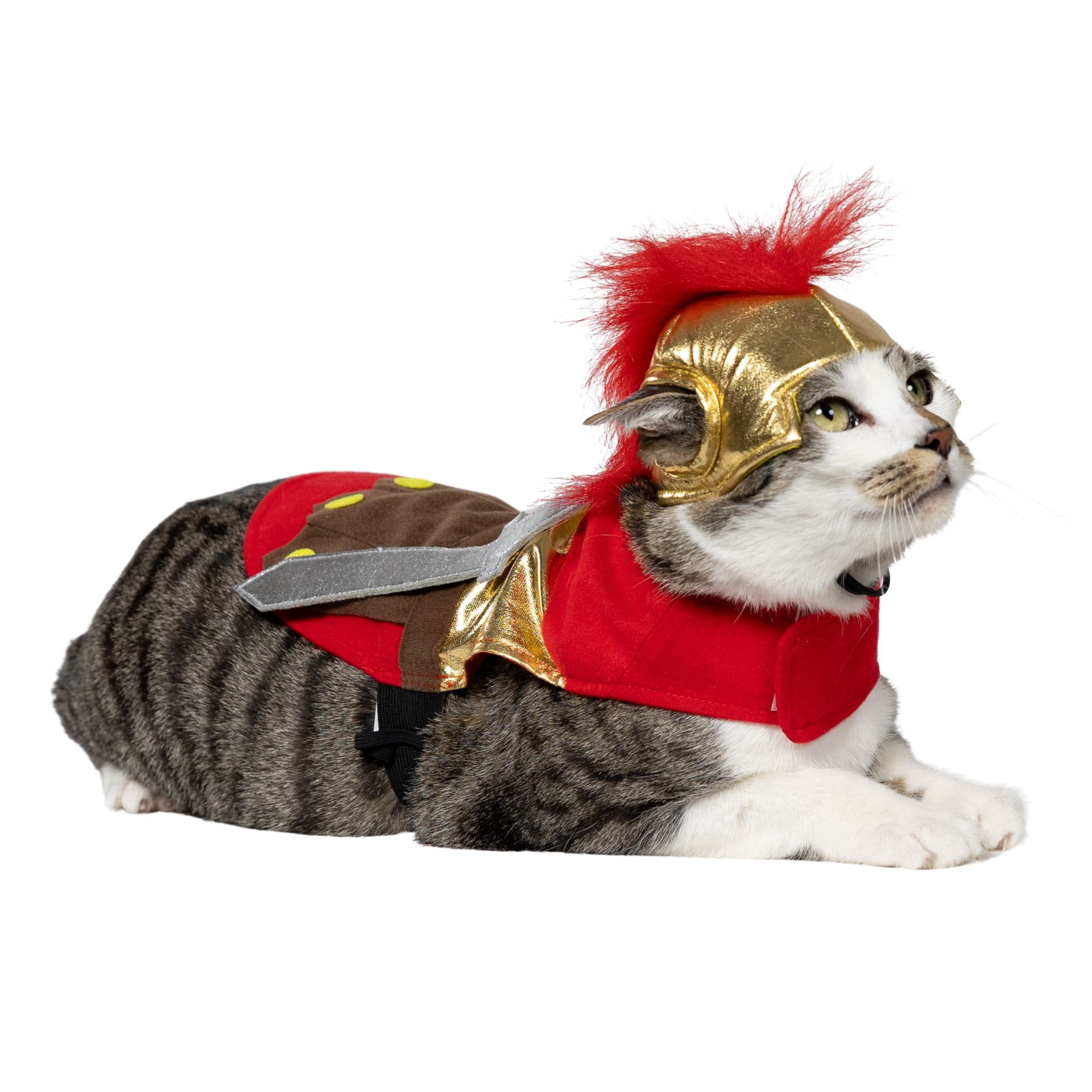 Vibrant Life Halloween Gladiator Costume for Dogs and Cats, Multicolor, Small