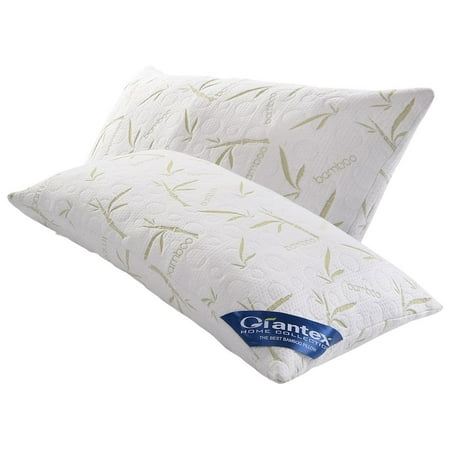 Set of 2 Queen Bambom Memory Foam Hypoallergenic Pillow With Carry