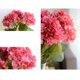 thumbnail image 5 of Ramo de 5 cabezas de hortensia, hermoso ramo de flores artificiales, decoración de boda para el hogar (rosa) Xemadio SNFLD1702, 5 of 7