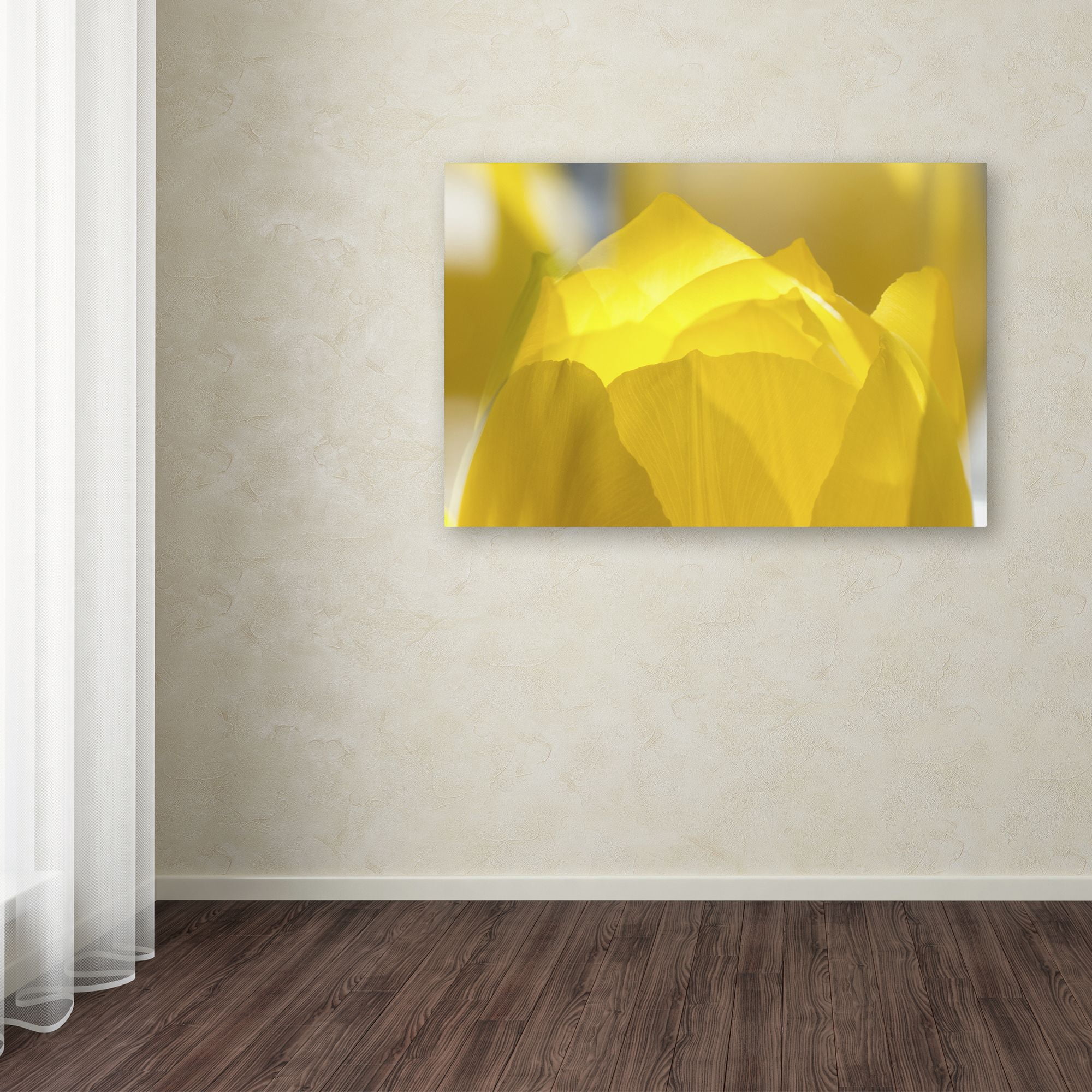 Trademark Fine Art "Yellow Tulip Double Exposure" Canvas Art by Kurt Shaffer