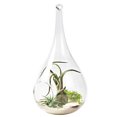 thumbnail image 4 of 2PCS Glass Planter Decorative Hanging Glass Vase Glass Flower Vase for Home, 4 of 9