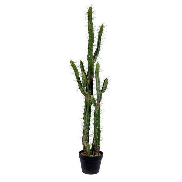 Vickerman FE191146 Pot de Plante en Plastique pour Cactus en Pot Vert de 46 Po
