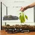 thumbnail image 1 of LRXIYODE Multi Functional Turtle Basking Platform for Aquarium and Bearded Dragon Tank Accessories, 1 of 6