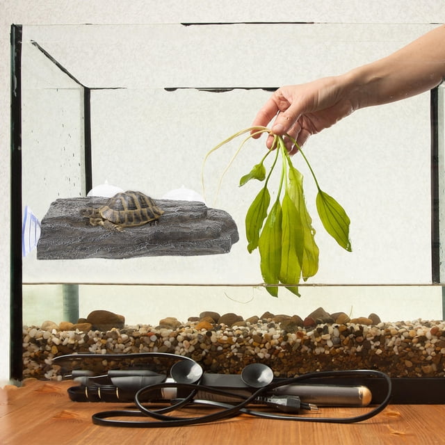 LRXIYODE Multi Functional Turtle Basking Platform for Aquarium and Bearded Dragon Tank Accessories