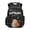 Cartoon Capybara & Strawberry Pattern, variant on Chririnla Cartoon Capybara with Math & Science Formula Print Waterproof School Backpack for Elementary Daily Use, Breathable Multi-Pocket 600D Polyester Bookbag