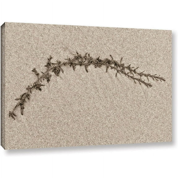 ArtWall Cora Niele "Beach Find II" Gallery-Wrapped Canvas
