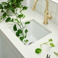 thumbnail image 5 of Blanco PERFORMA Bar Bowl SILGRANIT Sink White, 5 of 5