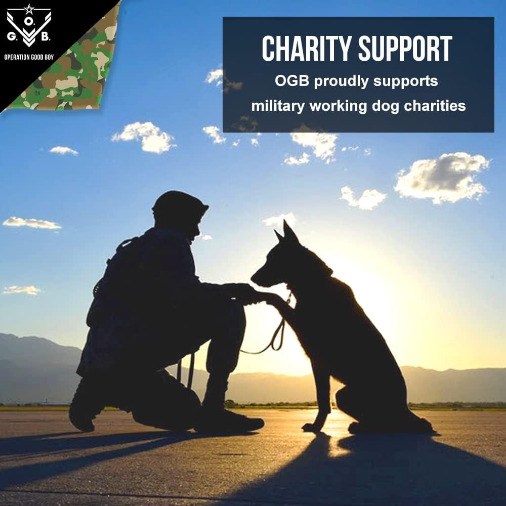 Operation Good Boy Grenade, Non-Toxic Dog Toy Grenade with Treat Pocket for Aggressive Chewers, Green