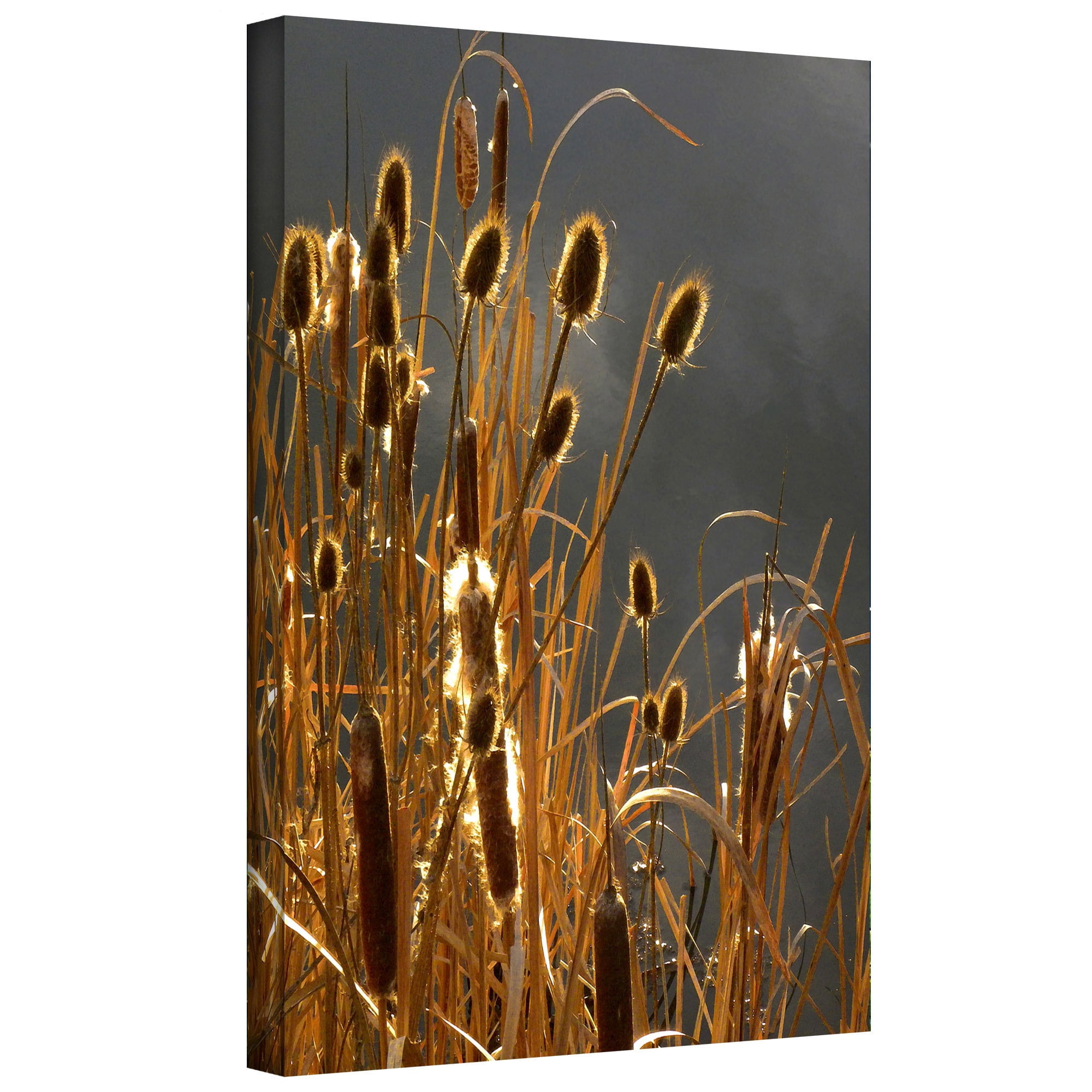 Dean Uhlinger "Cattails And Storm Light" Gallery-Wrapped Canvas