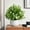 Multicolor B, variant on EWASWON Artificial Small Fake Plants No Maintenance Lifelike Greenery Indoor Home Decor Potted in White Pot