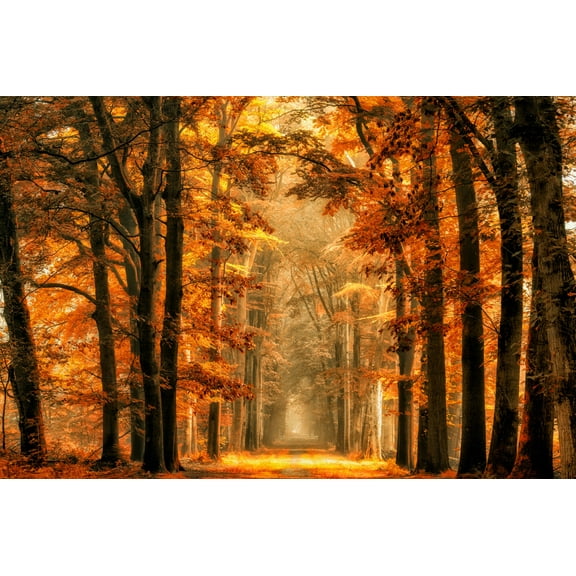 Dundee Deco's Modern Orange Brown Autumn Forest Wall Mural, 142 in X 106 in (108 sq ft.)