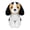 B-sit-bg, variant on NCQ Bulldog Stuffed Animals Realistic Dog,9" Dog Stuffed Animals Soft Cuddly Gray Bulld og Stuffed D og Plush,Puppy Plush Toys for Kids Girls Boys Huggable & Washable
