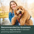 thumbnail image 3 of Slicker Brush Freshly Bailey Doodle para Goldendoodle, caniche, 3 of 7