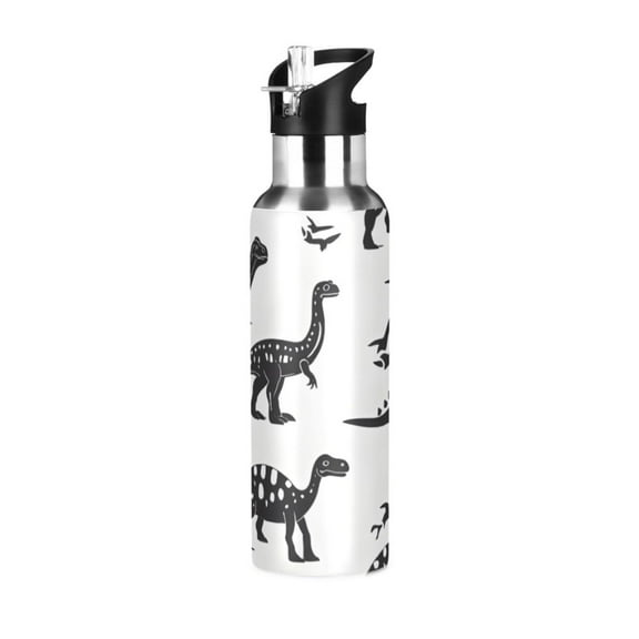 ALAZA Dinosaurs Water Bottle Insulated Flask Stainless Steel Straw Lid 20 oz