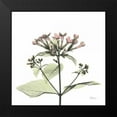 thumbnail image 2 of Koetsier, Albert 15x15 Black Modern Framed Museum Art Print Titled - Pretty Pink Blooms, 2 of 5
