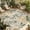 Sage Green, variant on Sage Green Yellow Botanical Outdoor Rug for Patio/Deck/Porch, Non-Slip Large Area Rug 4 x 6 Ft, Spring Summer Vintage Indoor Outdoor Rugs Washable Area Rugs, Reversible Camping Rug Carpet Runner