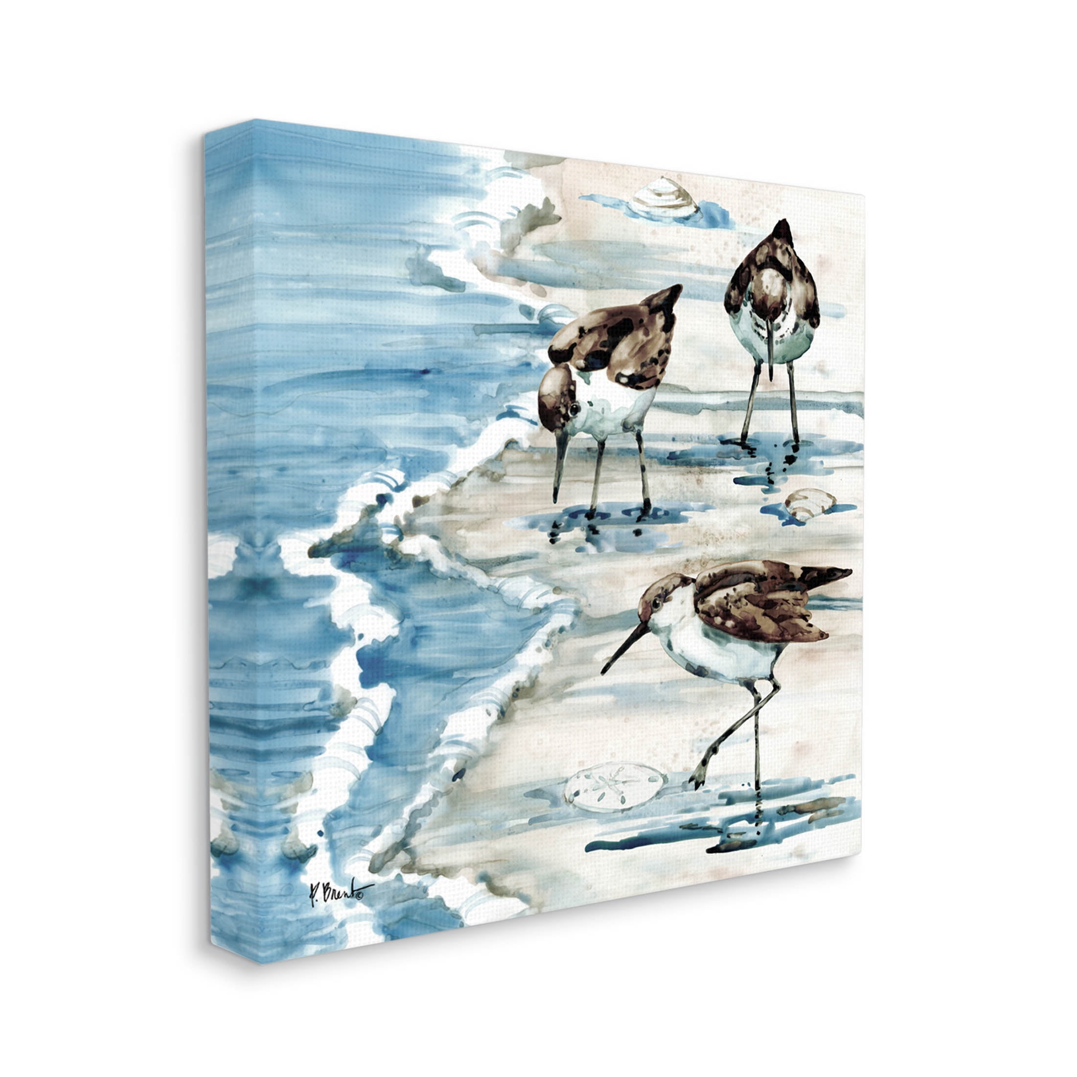 Stupell Industries Rockhampton Sandpipers Beach Grazing Painting Gallery Wrapped Canvas Print Wall Art, Design by Paul Brent