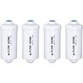thumbnail image 3 of Berkey Authentic Berkey PF-2 Fluoride and Arsenic Reduction Elements (Set of 4 Elements, 3 of 5