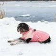 thumbnail image 5 of Heated Dog Vest With Reflective Warm For Outdoor Windproof Cold Weather In Small Medium Large Breed Sizes, 5 of 5