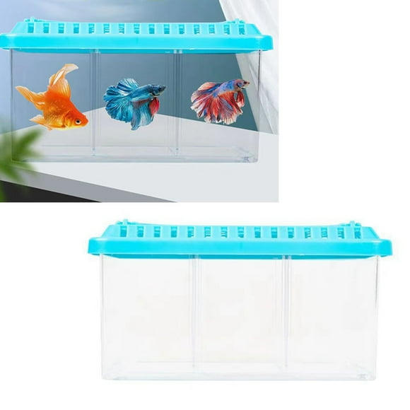 Small Fish Tank, Acrylic Compact Easy Cleaning 3 Grid Multicompartment Divided Fish Tank for Home