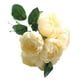 thumbnail image 1 of Flores artificiales para interiores, exteriores, decoración floral, ceremonia de banquete de boda, ramo de flores falsas, champán tholdsy HA6520-04B, 1 of 6