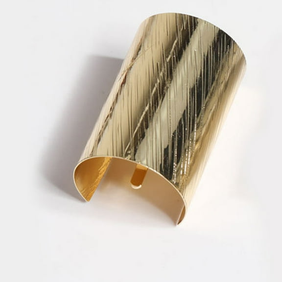 Hemobllo Elegant Design Hair Clip for Women with Brushed Finish 1Pack