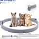 thumbnail image 2 of Collar contra pulgas y garrapatas para gatos, protección efectiva de 8 meses, collar ajustable para tratamiento contra pulgas de gatos, resistente al agua para cachorros de gatos (, 2 of 5